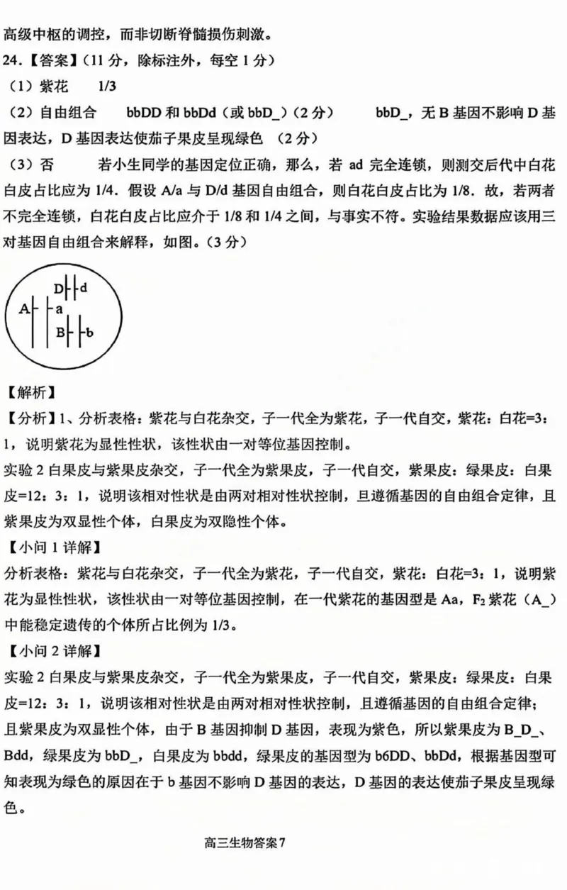 黑龙江省哈尔滨市第三中学2025届高三上学期期中考试生物+答案_2024-2025高三（6-6月题库）_2024年11月试卷_1118黑龙江省哈尔滨市第三中学2025届高三上学期期中考试