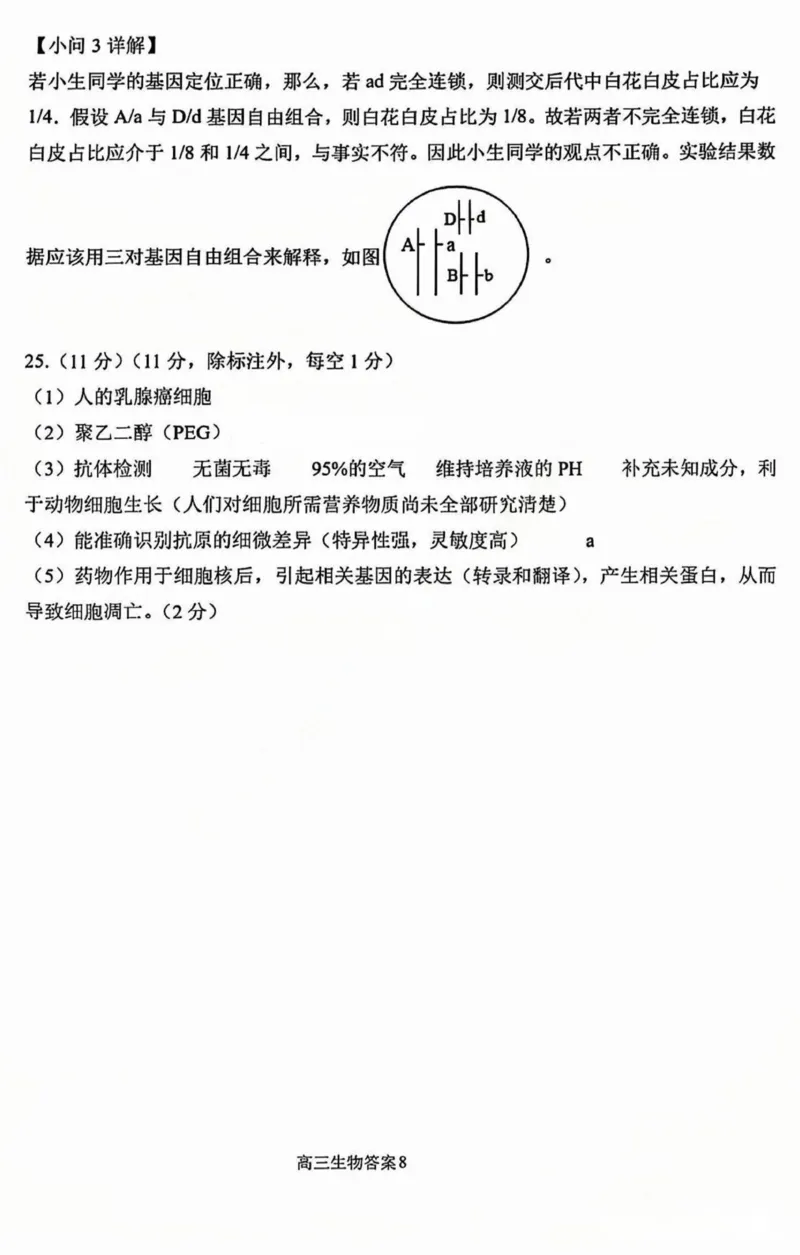 黑龙江省哈尔滨市第三中学2025届高三上学期期中考试生物+答案_2024-2025高三（6-6月题库）_2024年11月试卷_1118黑龙江省哈尔滨市第三中学2025届高三上学期期中考试