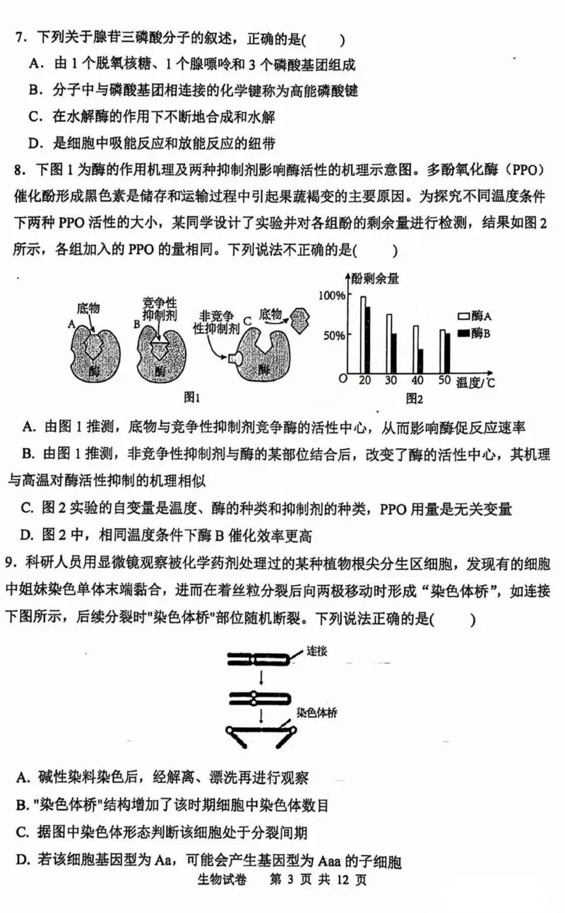 黑龙江省哈尔滨市第三中学2025届高三上学期期中考试生物+答案_2024-2025高三（6-6月题库）_2024年11月试卷_1118黑龙江省哈尔滨市第三中学2025届高三上学期期中考试
