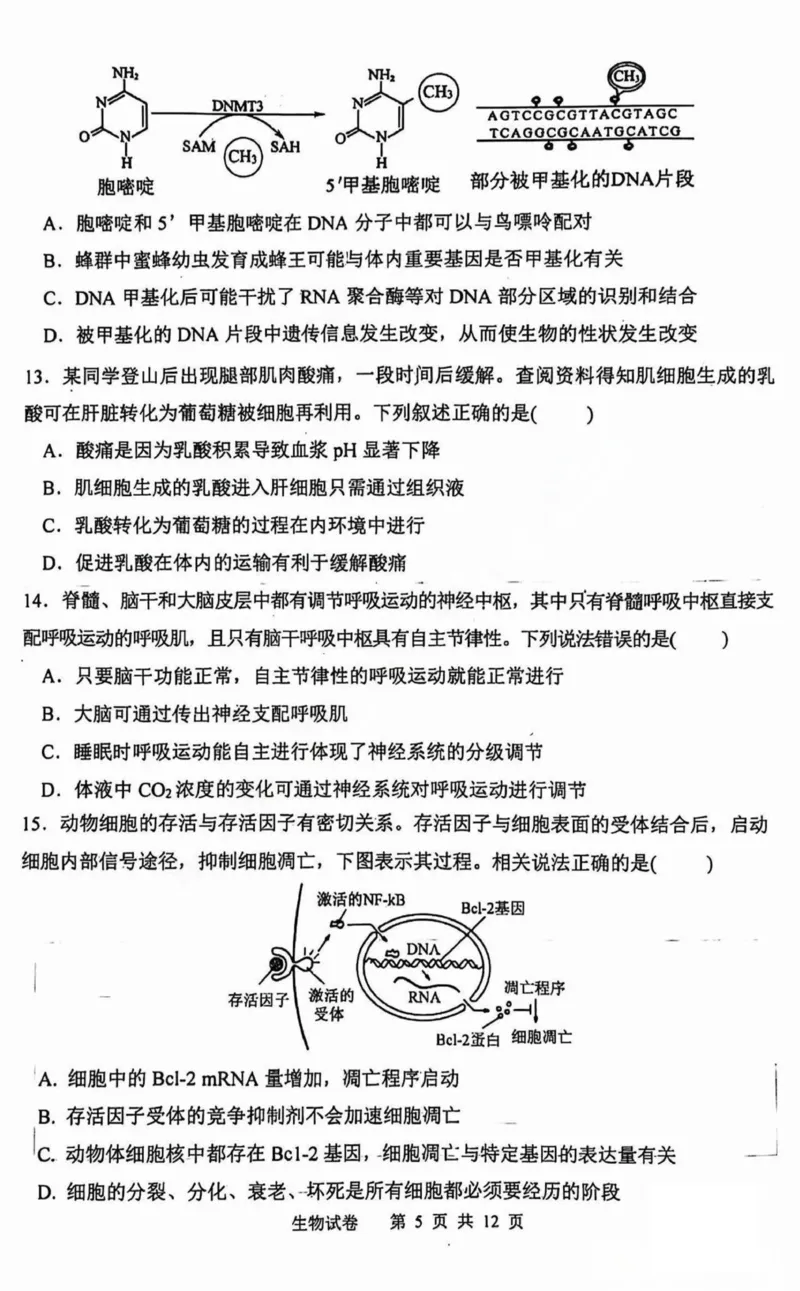 黑龙江省哈尔滨市第三中学2025届高三上学期期中考试生物+答案_2024-2025高三（6-6月题库）_2024年11月试卷_1118黑龙江省哈尔滨市第三中学2025届高三上学期期中考试