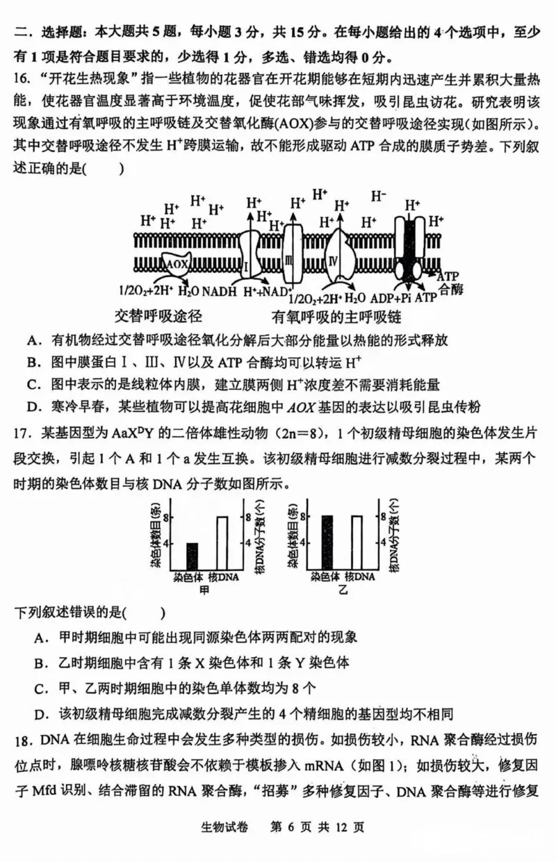 黑龙江省哈尔滨市第三中学2025届高三上学期期中考试生物+答案_2024-2025高三（6-6月题库）_2024年11月试卷_1118黑龙江省哈尔滨市第三中学2025届高三上学期期中考试