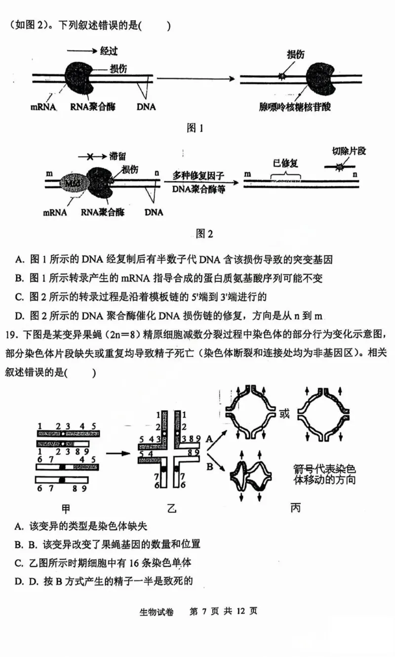 黑龙江省哈尔滨市第三中学2025届高三上学期期中考试生物+答案_2024-2025高三（6-6月题库）_2024年11月试卷_1118黑龙江省哈尔滨市第三中学2025届高三上学期期中考试