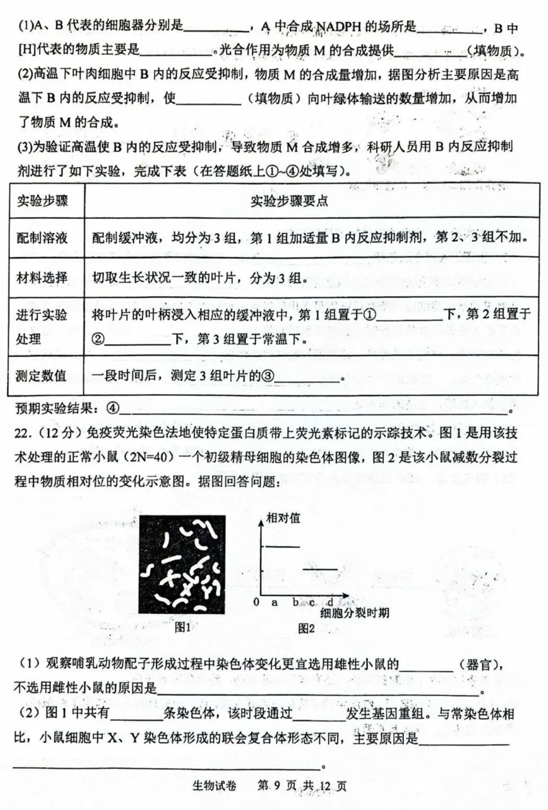 黑龙江省哈尔滨市第三中学2025届高三上学期期中考试生物+答案_2024-2025高三（6-6月题库）_2024年11月试卷_1118黑龙江省哈尔滨市第三中学2025届高三上学期期中考试
