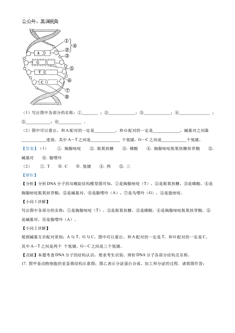 重庆市重庆市重庆乌江新高考协作体2024-2025学年高三上学期10月月考生物试题Word版含解析_2024-2025高三（6-6月题库）_2024年10月试卷