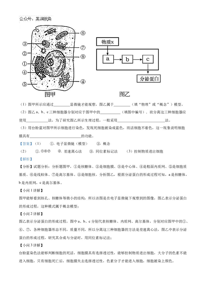重庆市重庆市重庆乌江新高考协作体2024-2025学年高三上学期10月月考生物试题Word版含解析_2024-2025高三（6-6月题库）_2024年10月试卷