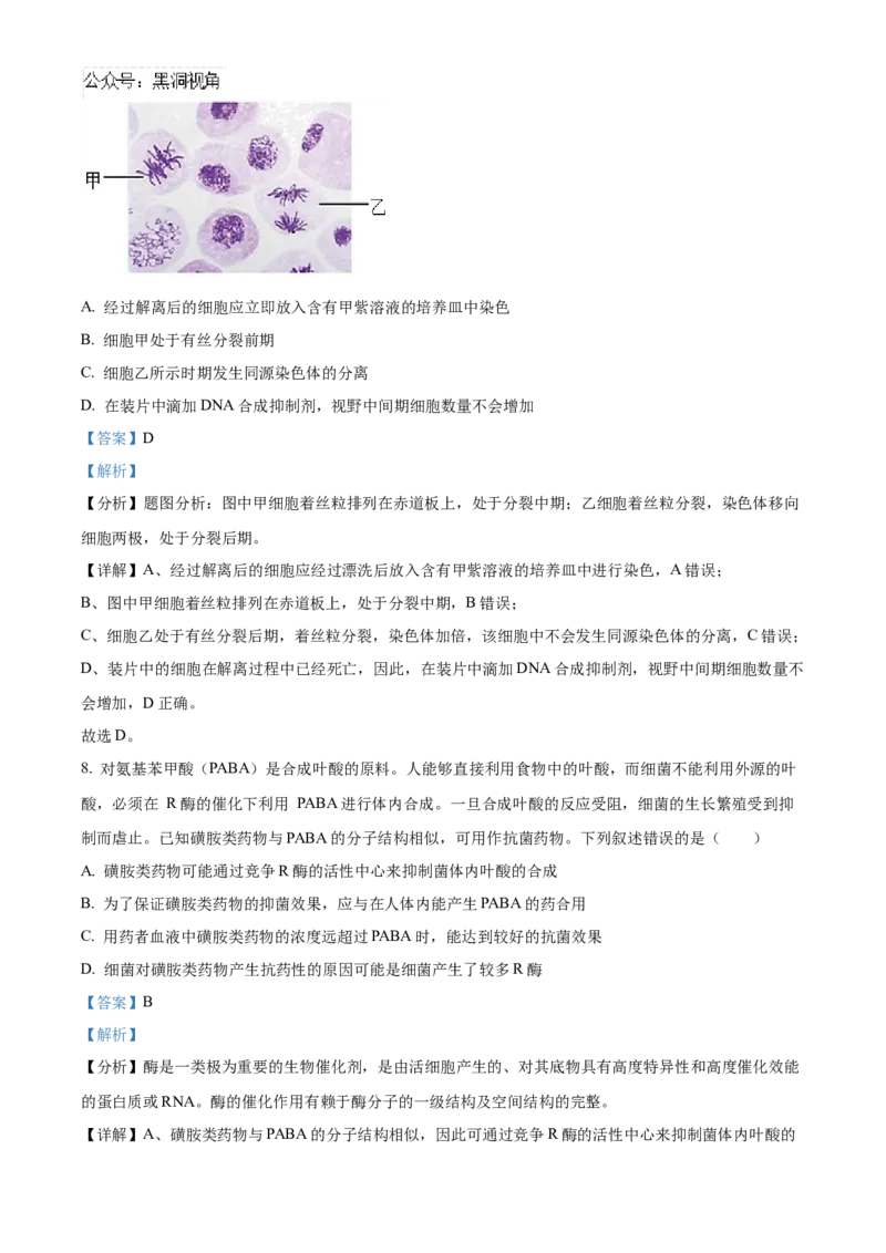 重庆市重庆市重庆乌江新高考协作体2024-2025学年高三上学期10月月考生物试题Word版含解析_2024-2025高三（6-6月题库）_2024年10月试卷