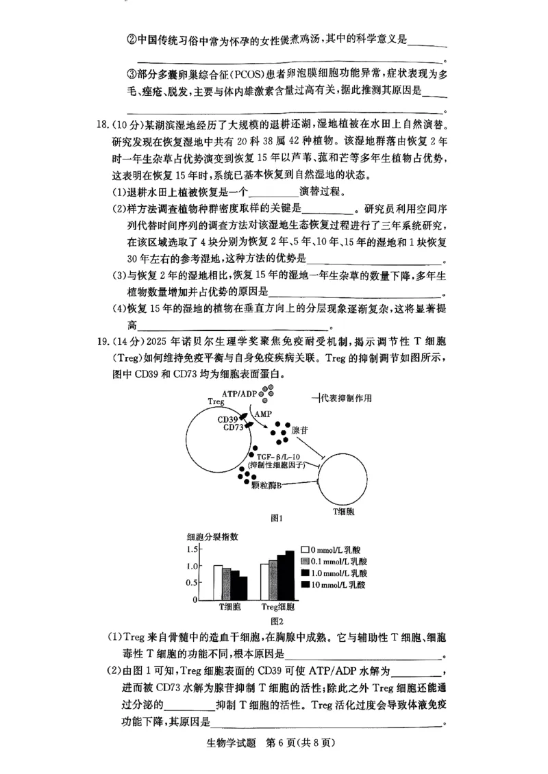 生物试题_251220湖南新高考教学联盟长郡二十校联盟12月高二联考_湖南省新高考教学教研联盟2025-2026学年高二上学期12月学情检测生物试题含答案