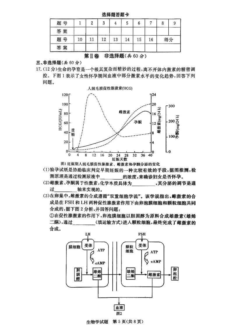 生物试题_251220湖南新高考教学联盟长郡二十校联盟12月高二联考_湖南省新高考教学教研联盟2025-2026学年高二上学期12月学情检测生物试题含答案
