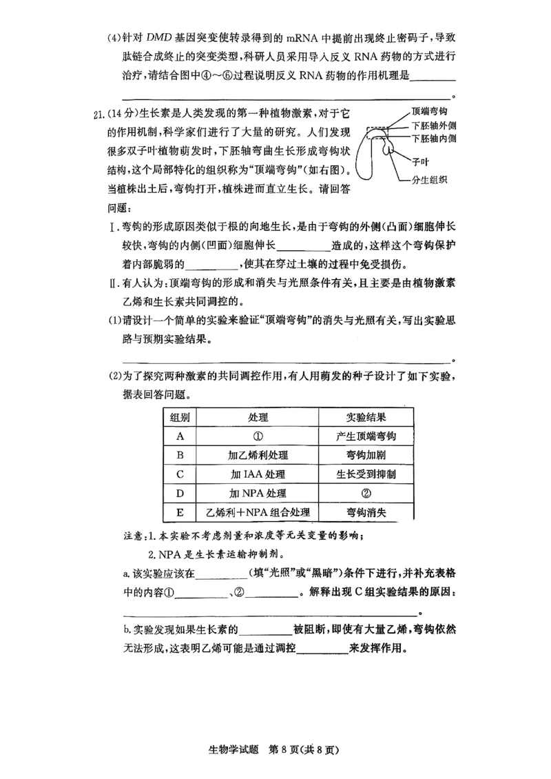 生物试题_251220湖南新高考教学联盟长郡二十校联盟12月高二联考_湖南省新高考教学教研联盟2025-2026学年高二上学期12月学情检测生物试题含答案