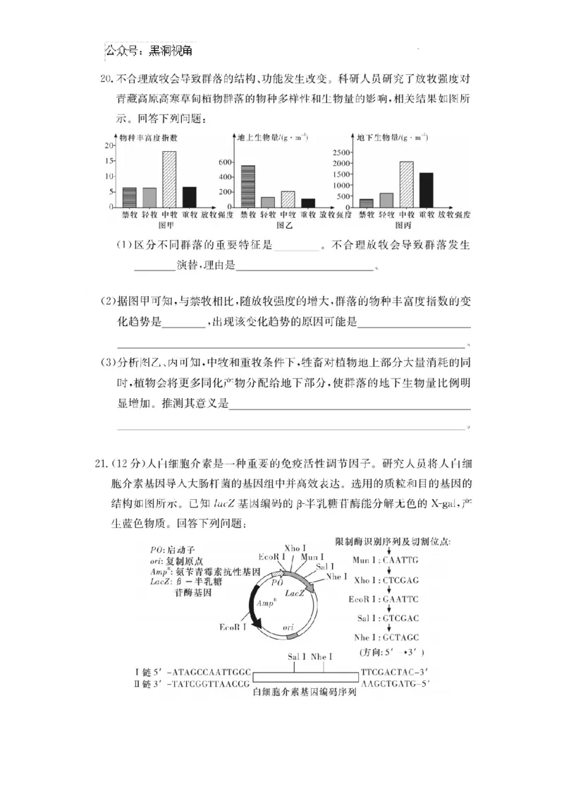 湖南省长沙市四大名校2024-2025学年高三下学期2月月考生物试题_2024-2025高三（6-6月题库）_2025年02月试卷_0216佩佩教育湖南省长沙市四大名校2024-2025学年高三下学期2月月考