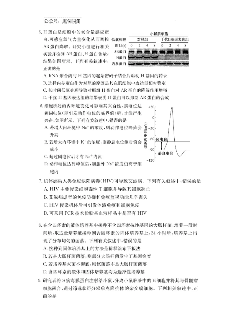 湖南省长沙市四大名校2024-2025学年高三下学期2月月考生物试题_2024-2025高三（6-6月题库）_2025年02月试卷_0216佩佩教育湖南省长沙市四大名校2024-2025学年高三下学期2月月考