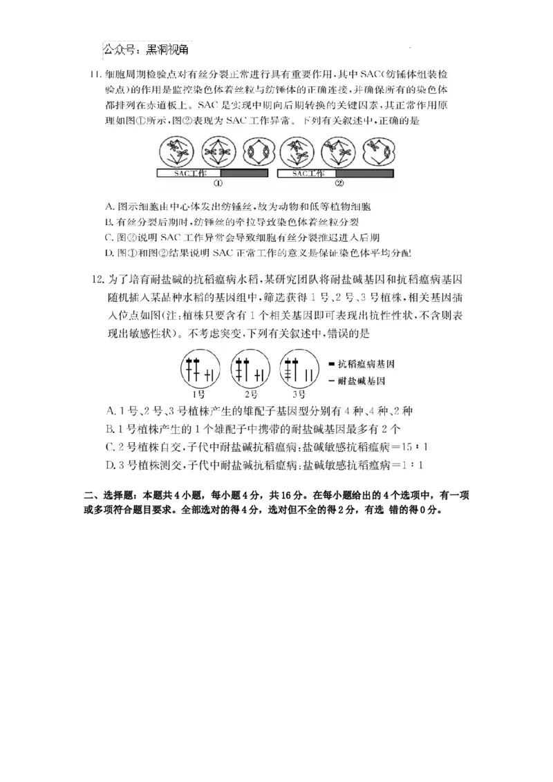 湖南省长沙市四大名校2024-2025学年高三下学期2月月考生物试题_2024-2025高三（6-6月题库）_2025年02月试卷_0216佩佩教育湖南省长沙市四大名校2024-2025学年高三下学期2月月考