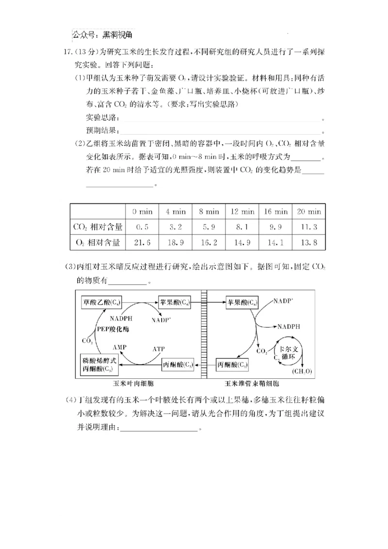 湖南省长沙市四大名校2024-2025学年高三下学期2月月考生物试题_2024-2025高三（6-6月题库）_2025年02月试卷_0216佩佩教育湖南省长沙市四大名校2024-2025学年高三下学期2月月考