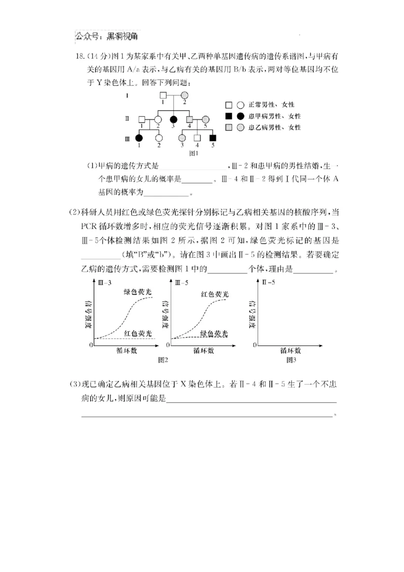 湖南省长沙市四大名校2024-2025学年高三下学期2月月考生物试题_2024-2025高三（6-6月题库）_2025年02月试卷_0216佩佩教育湖南省长沙市四大名校2024-2025学年高三下学期2月月考