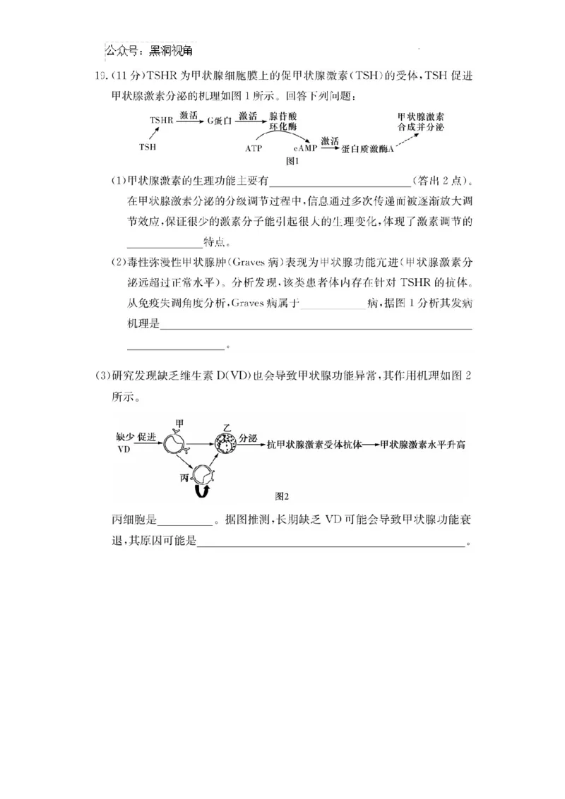 湖南省长沙市四大名校2024-2025学年高三下学期2月月考生物试题_2024-2025高三（6-6月题库）_2025年02月试卷_0216佩佩教育湖南省长沙市四大名校2024-2025学年高三下学期2月月考