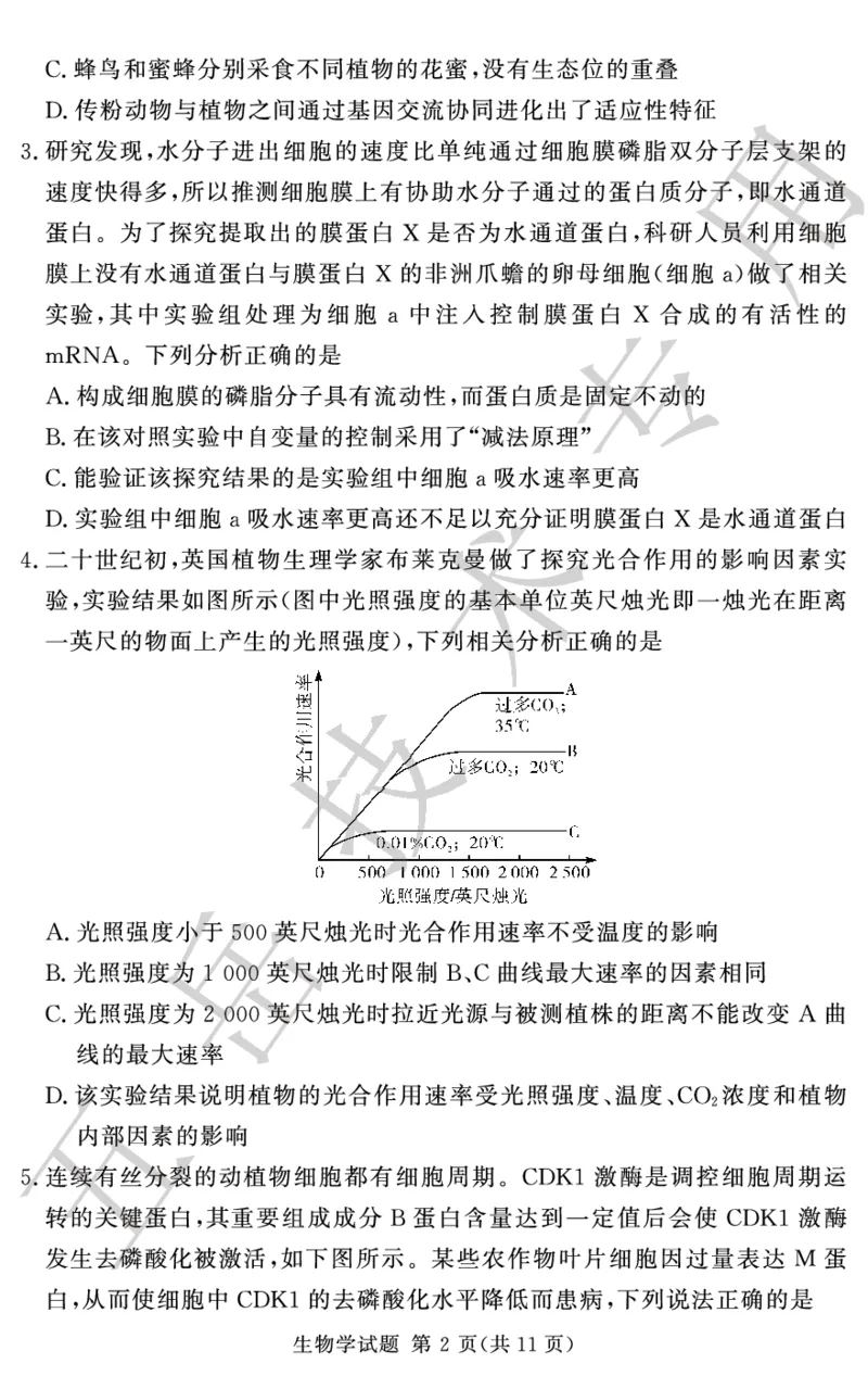 高三12月模拟试卷--生物_2024-2025高三（6-6月题库）_2024年12月试卷_1229湘豫名校联考2024-2025学年高三上学期一轮复习质量检测（全科）