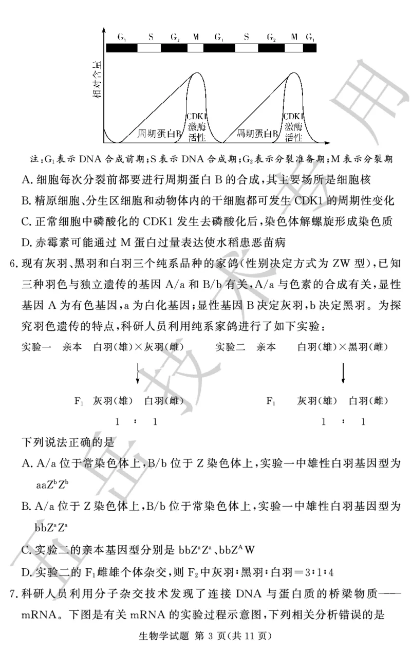 高三12月模拟试卷--生物_2024-2025高三（6-6月题库）_2024年12月试卷_1229湘豫名校联考2024-2025学年高三上学期一轮复习质量检测（全科）