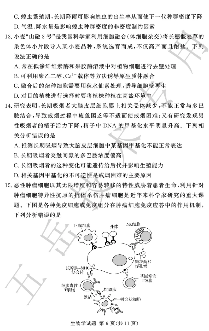 高三12月模拟试卷--生物_2024-2025高三（6-6月题库）_2024年12月试卷_1229湘豫名校联考2024-2025学年高三上学期一轮复习质量检测（全科）