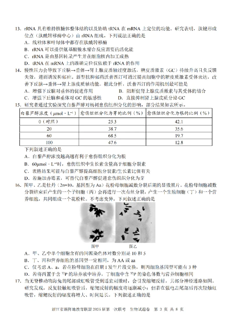 26届新阵地教育联盟国庆返校考生物_2024-2026高三（6-6月题库）_2025年10月高三试卷_251011浙江省新阵地教育联盟2026届第一次联考（全科）