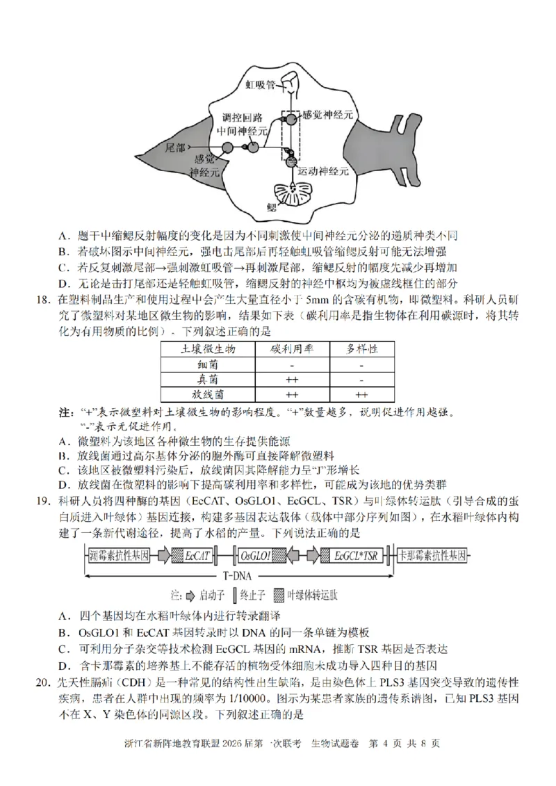 26届新阵地教育联盟国庆返校考生物_2024-2026高三（6-6月题库）_2025年10月高三试卷_251011浙江省新阵地教育联盟2026届第一次联考（全科）