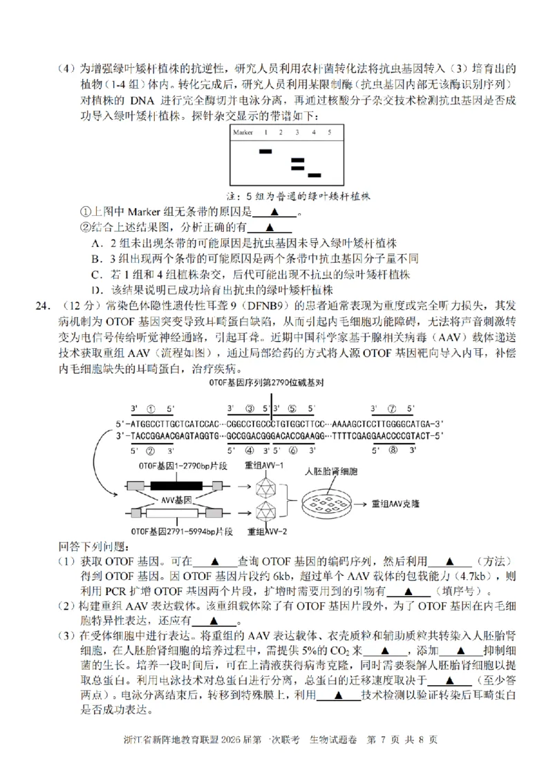 26届新阵地教育联盟国庆返校考生物_2024-2026高三（6-6月题库）_2025年10月高三试卷_251011浙江省新阵地教育联盟2026届第一次联考（全科）