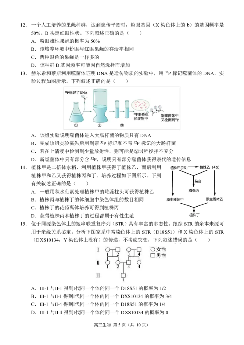 重庆市西南大学附属中学2024-2025学年高三上学期11月阶段性检测生物试卷_2024-2025高三（6-6月题库）_2024年11月试卷_1112重庆市西南大学附属中学2024-2025学年高三上学期11月阶段性检测