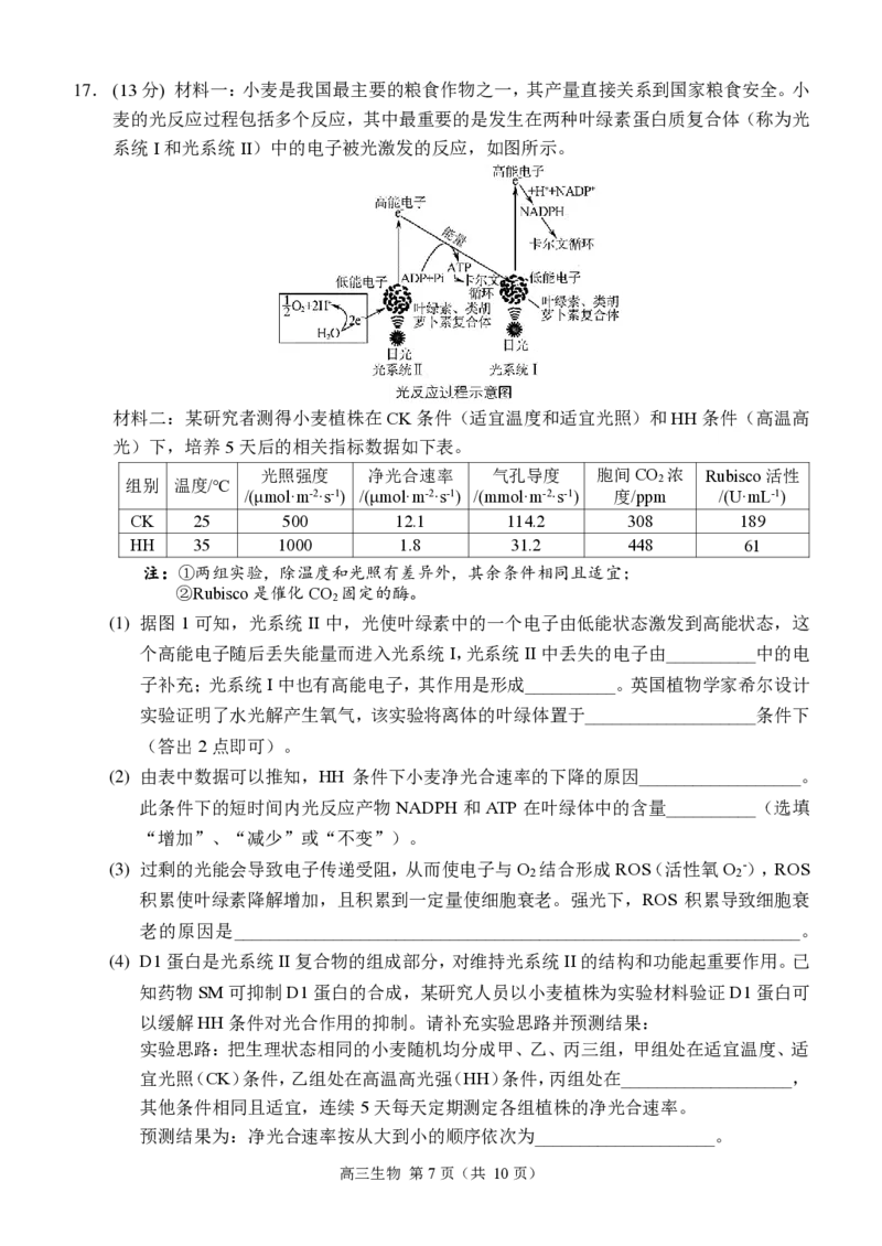 重庆市西南大学附属中学2024-2025学年高三上学期11月阶段性检测生物试卷_2024-2025高三（6-6月题库）_2024年11月试卷_1112重庆市西南大学附属中学2024-2025学年高三上学期11月阶段性检测