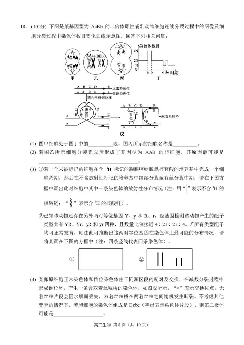 重庆市西南大学附属中学2024-2025学年高三上学期11月阶段性检测生物试卷_2024-2025高三（6-6月题库）_2024年11月试卷_1112重庆市西南大学附属中学2024-2025学年高三上学期11月阶段性检测
