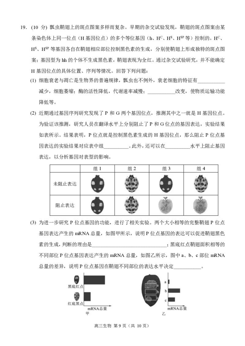 重庆市西南大学附属中学2024-2025学年高三上学期11月阶段性检测生物试卷_2024-2025高三（6-6月题库）_2024年11月试卷_1112重庆市西南大学附属中学2024-2025学年高三上学期11月阶段性检测