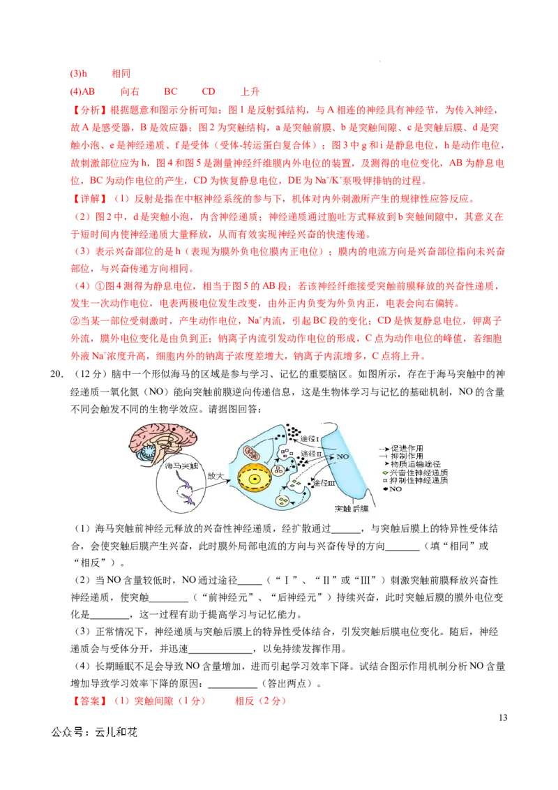 高二生物第一次月考卷（全解全析）（北京专用）_2024-2025高二（7-7月题库）_2024年09月试卷_0924黄金卷：2024-2025学年高二上学期第一次月考9科word解析版含答题卡（北京专用）