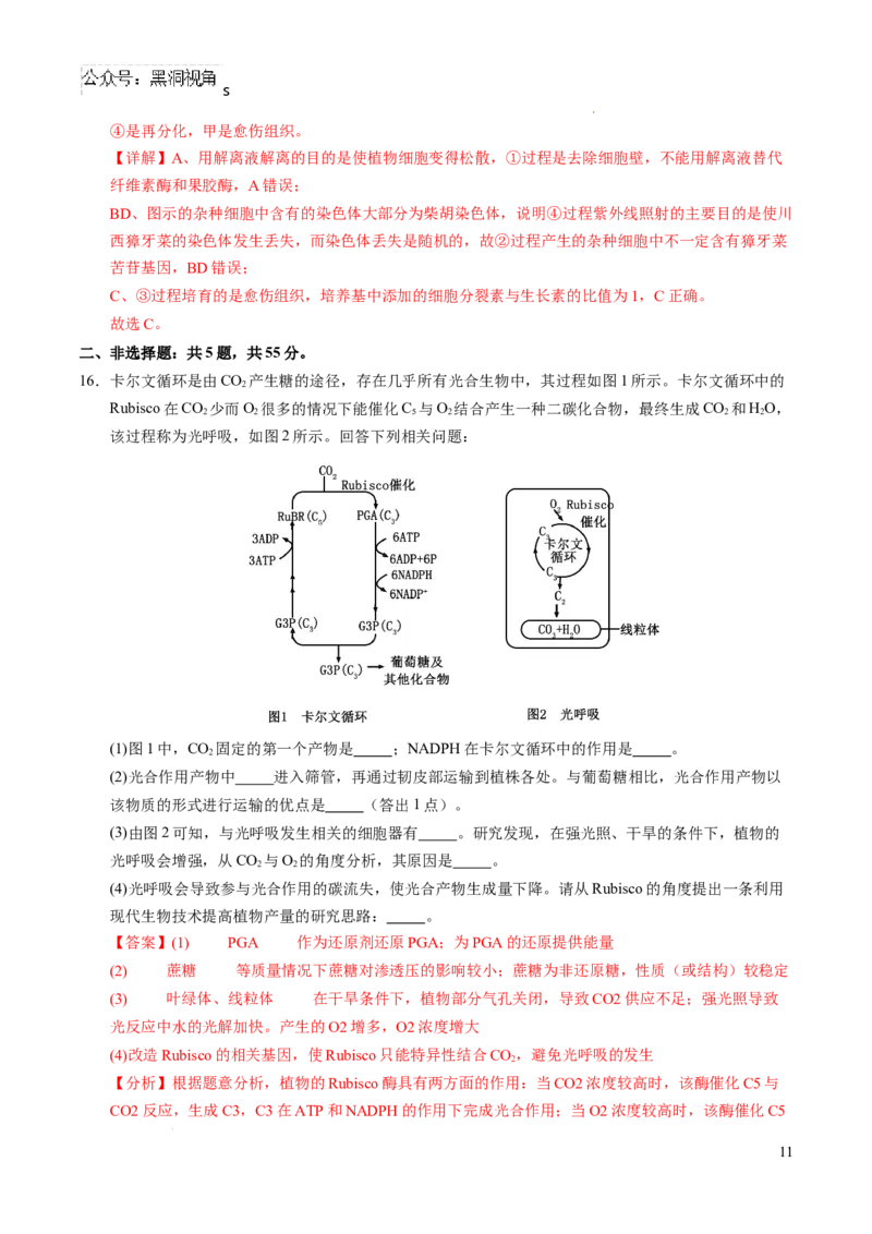 生物考前猜想卷01（全解全析）_2024-2025高三（6-6月题库）_2024年12月试卷_12072025届&ldquo;八省联考&rdquo;考前猜想卷_生物（15+5）-2025年1月&ldquo;八省联考&rdquo;考前猜想卷