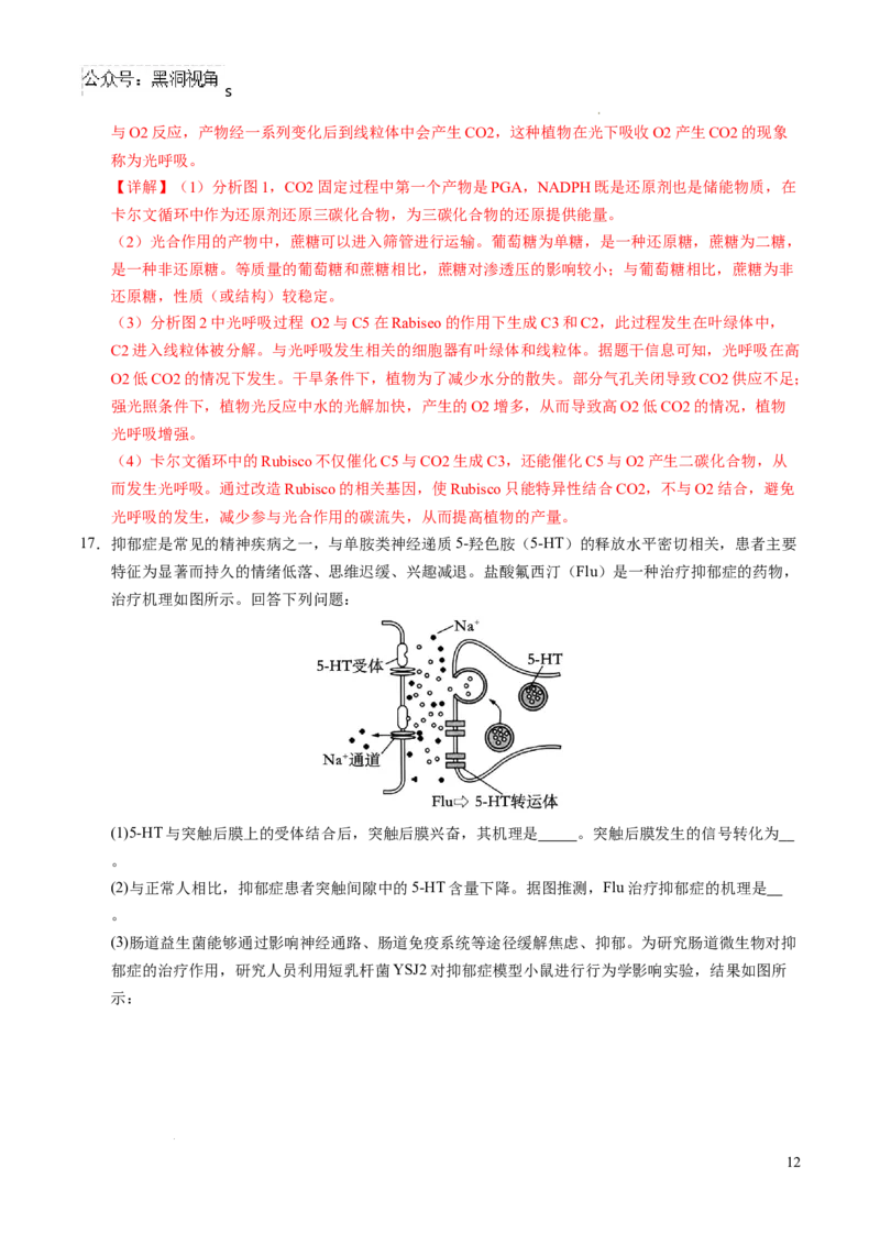 生物考前猜想卷01（全解全析）_2024-2025高三（6-6月题库）_2024年12月试卷_12072025届&ldquo;八省联考&rdquo;考前猜想卷_生物（15+5）-2025年1月&ldquo;八省联考&rdquo;考前猜想卷