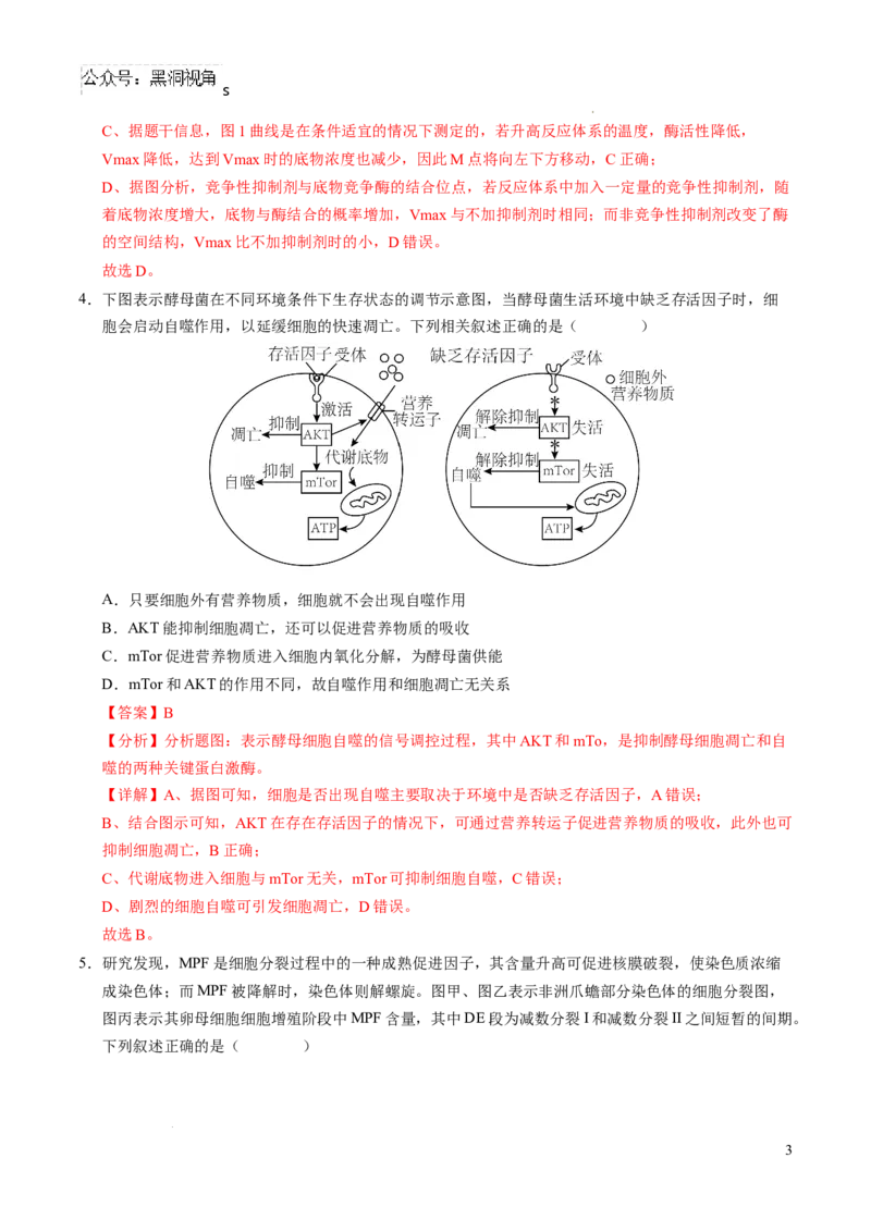 生物考前猜想卷01（全解全析）_2024-2025高三（6-6月题库）_2024年12月试卷_12072025届&ldquo;八省联考&rdquo;考前猜想卷_生物（15+5）-2025年1月&ldquo;八省联考&rdquo;考前猜想卷