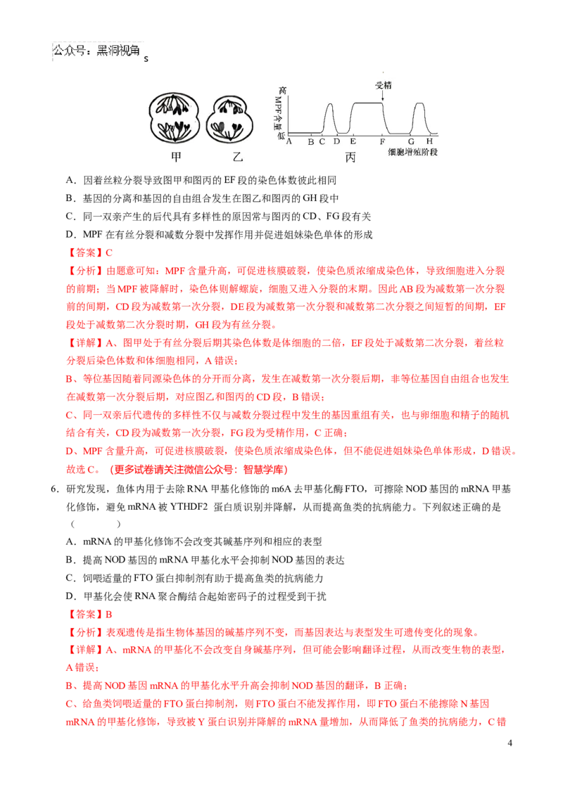 生物考前猜想卷01（全解全析）_2024-2025高三（6-6月题库）_2024年12月试卷_12072025届&ldquo;八省联考&rdquo;考前猜想卷_生物（15+5）-2025年1月&ldquo;八省联考&rdquo;考前猜想卷
