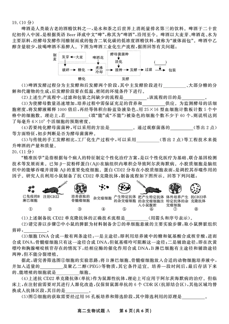 生物试题A&middot;2025年5月高二阶段考_2024-2025高二（7-7月题库）_2025年6月试卷_0609安徽省金榜教育2024-2025学年高二下学期五月份阶段性考试