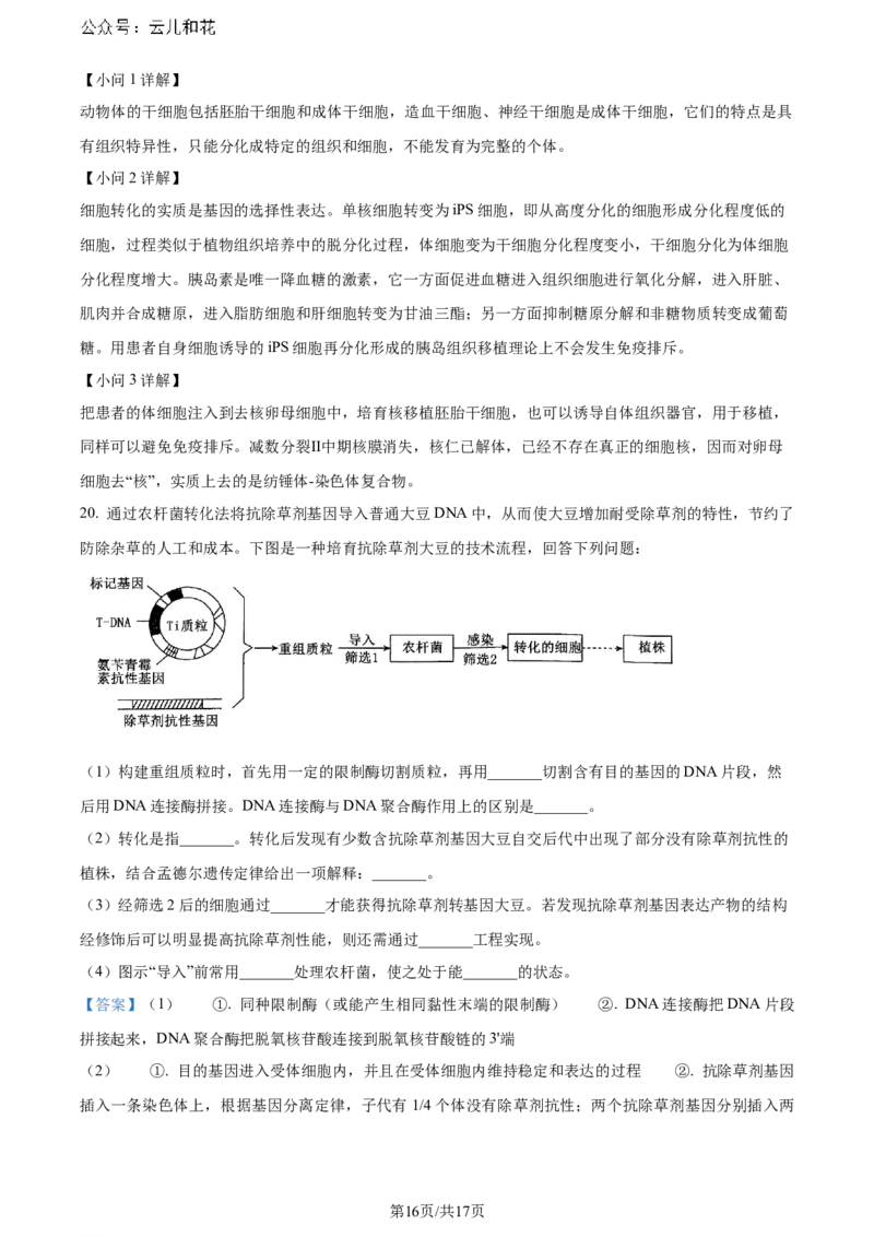 精品解析：安徽省安徽省县中联盟期末联考2023-2024学年高二下学期7月期末生物试题（解析版）_2024-2025高二（7-7月题库）_2024年07月试卷