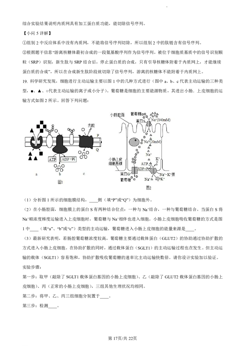 精品解析：福建省福州市九县（市、区）一中2023-2024学年高二下学期7月期末生物试题（解析版）_2024-2025高二（7-7月题库）_2024年07月试卷