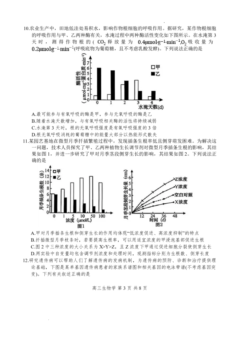 攀枝花市2026届高三第一次统一考试生物_2024-2026高三（6-6月题库）_2026年01月高三试卷_0123四川省攀枝花市2026届高三第一次统一考试（攀枝花一统）