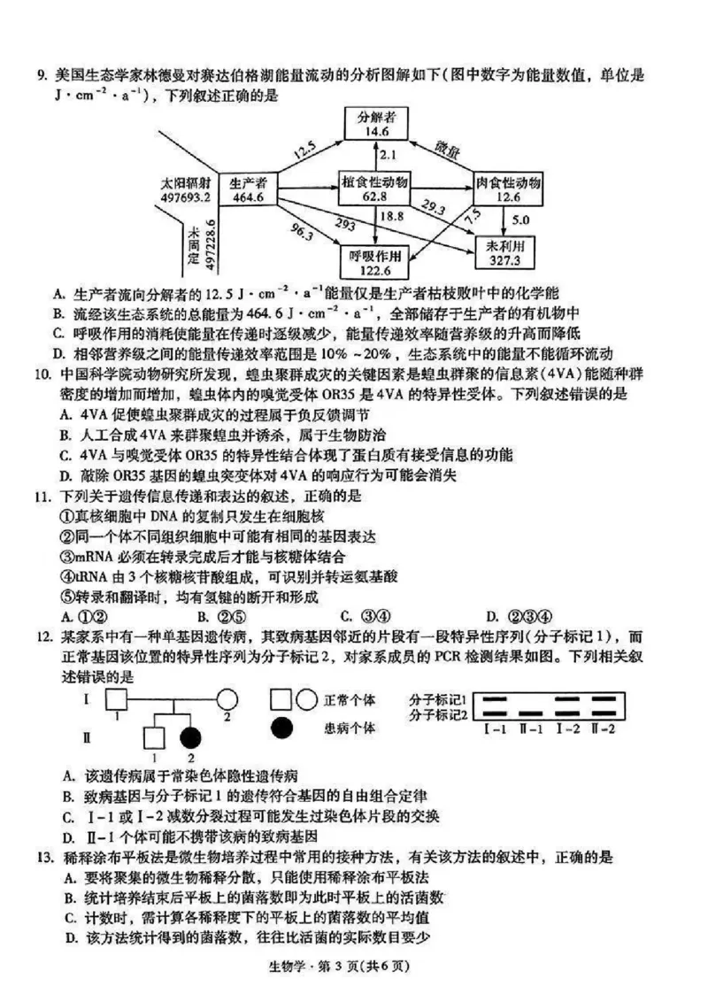 生物+昆一中2025届高三联考试卷及答案（四）_2024-2025高三（6-6月题库）_2024年12月试卷_12042025届云南省昆明市第一中学高三年级第四次联考