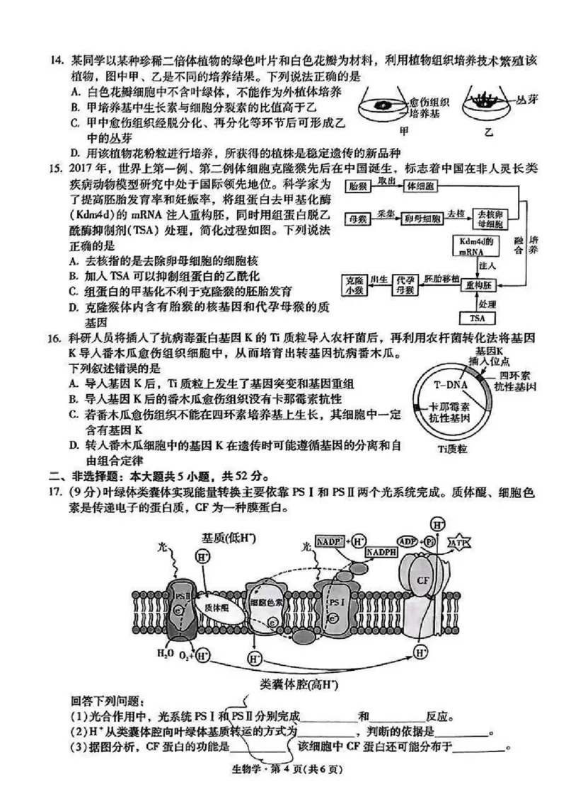 生物+昆一中2025届高三联考试卷及答案（四）_2024-2025高三（6-6月题库）_2024年12月试卷_12042025届云南省昆明市第一中学高三年级第四次联考
