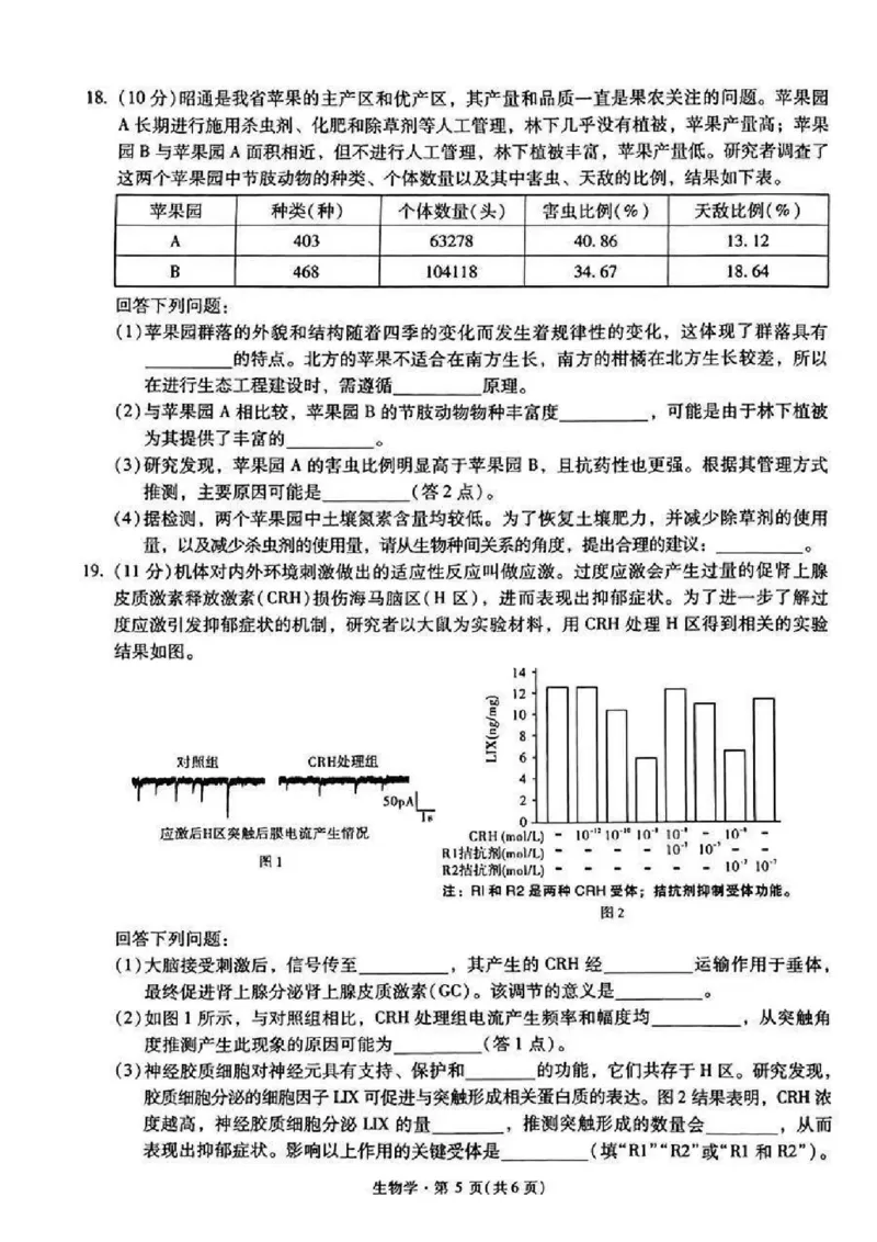 生物+昆一中2025届高三联考试卷及答案（四）_2024-2025高三（6-6月题库）_2024年12月试卷_12042025届云南省昆明市第一中学高三年级第四次联考