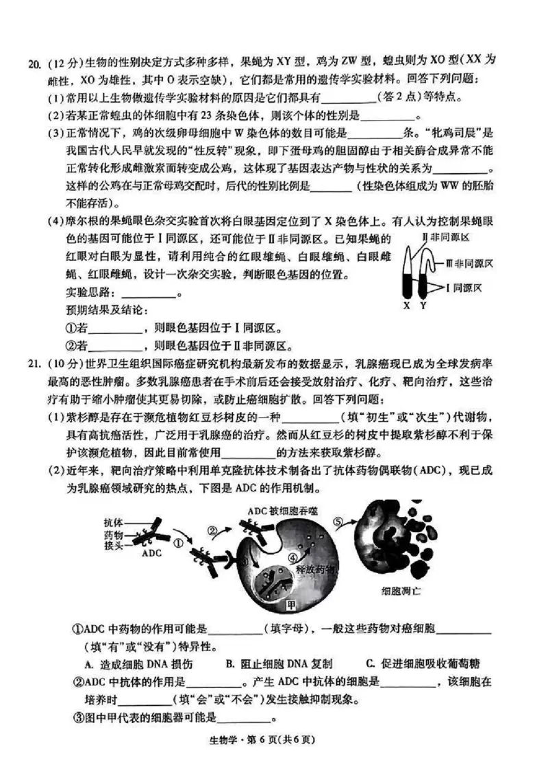 生物+昆一中2025届高三联考试卷及答案（四）_2024-2025高三（6-6月题库）_2024年12月试卷_12042025届云南省昆明市第一中学高三年级第四次联考