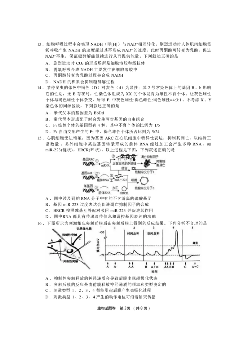 生物_2024-2025高三（6-6月题库）_2024年12月试卷_1205浙江省金丽衢十二校2024-2025学年高三上学期第一次联考（全科）_浙江省金丽衢十二校2024-2025学年高三上学期第一次联考生物