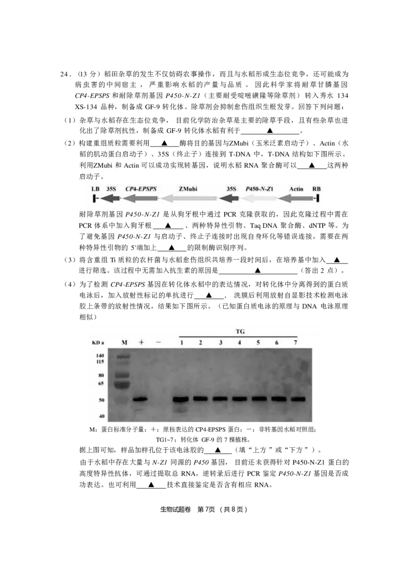 生物_2024-2025高三（6-6月题库）_2024年12月试卷_1205浙江省金丽衢十二校2024-2025学年高三上学期第一次联考（全科）_浙江省金丽衢十二校2024-2025学年高三上学期第一次联考生物