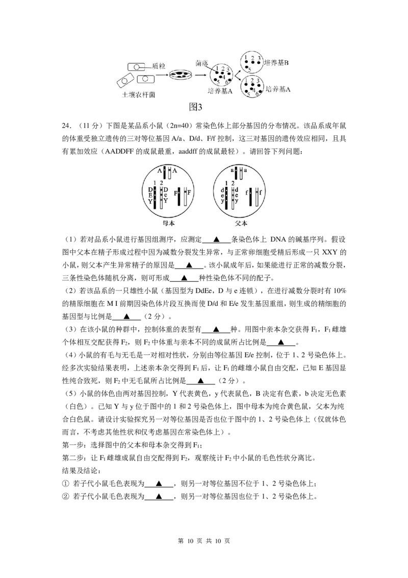 生物试卷_2024-2025高三（6-6月题库）_2024年12月试卷_1201江苏省南京市六校联合体2024-2025学年高三上学期11月联考（全科）_江苏省南京市六校联合体2024-2025学年高三上学期11月联考生物试题