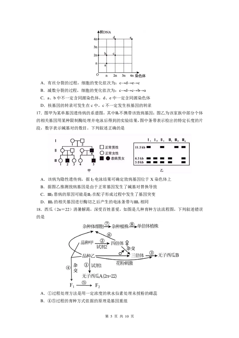 生物试卷_2024-2025高三（6-6月题库）_2024年12月试卷_1201江苏省南京市六校联合体2024-2025学年高三上学期11月联考（全科）_江苏省南京市六校联合体2024-2025学年高三上学期11月联考生物试题