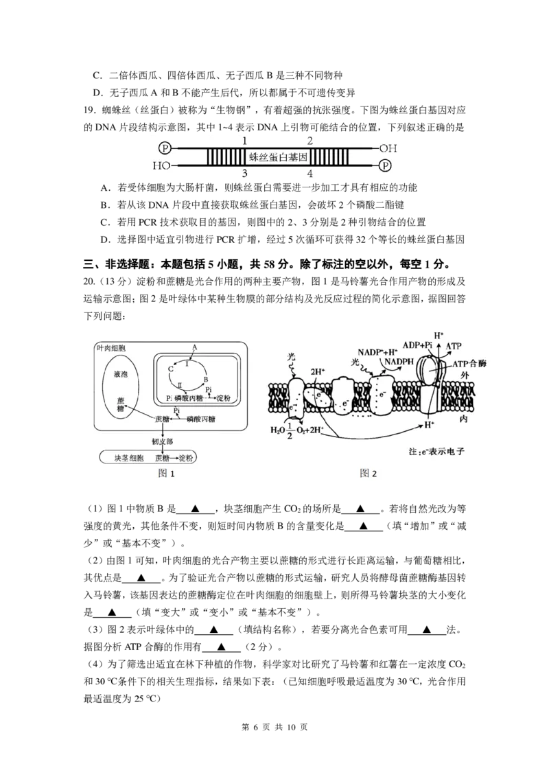 生物试卷_2024-2025高三（6-6月题库）_2024年12月试卷_1201江苏省南京市六校联合体2024-2025学年高三上学期11月联考（全科）_江苏省南京市六校联合体2024-2025学年高三上学期11月联考生物试题