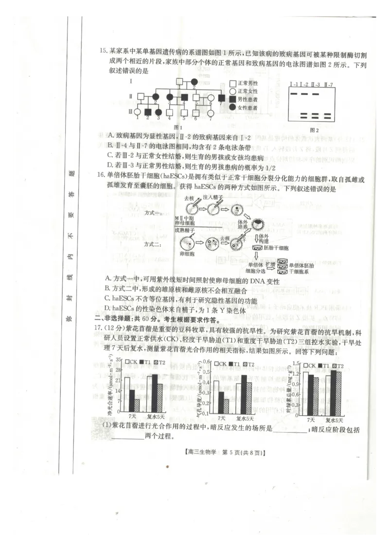 生物_2024-2025高三（6-6月题库）_2025年02月试卷_0217广西省桂林市2025届高三春季开学质量检测（金太阳334C）_广西桂林市2024-2025学年高三下学期开学质量检测生物