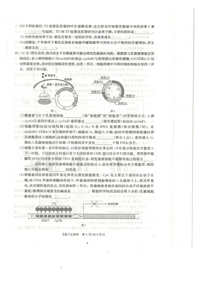 生物_2024-2025高三（6-6月题库）_2025年02月试卷_0217广西省桂林市2025届高三春季开学质量检测（金太阳334C）_广西桂林市2024-2025学年高三下学期开学质量检测生物