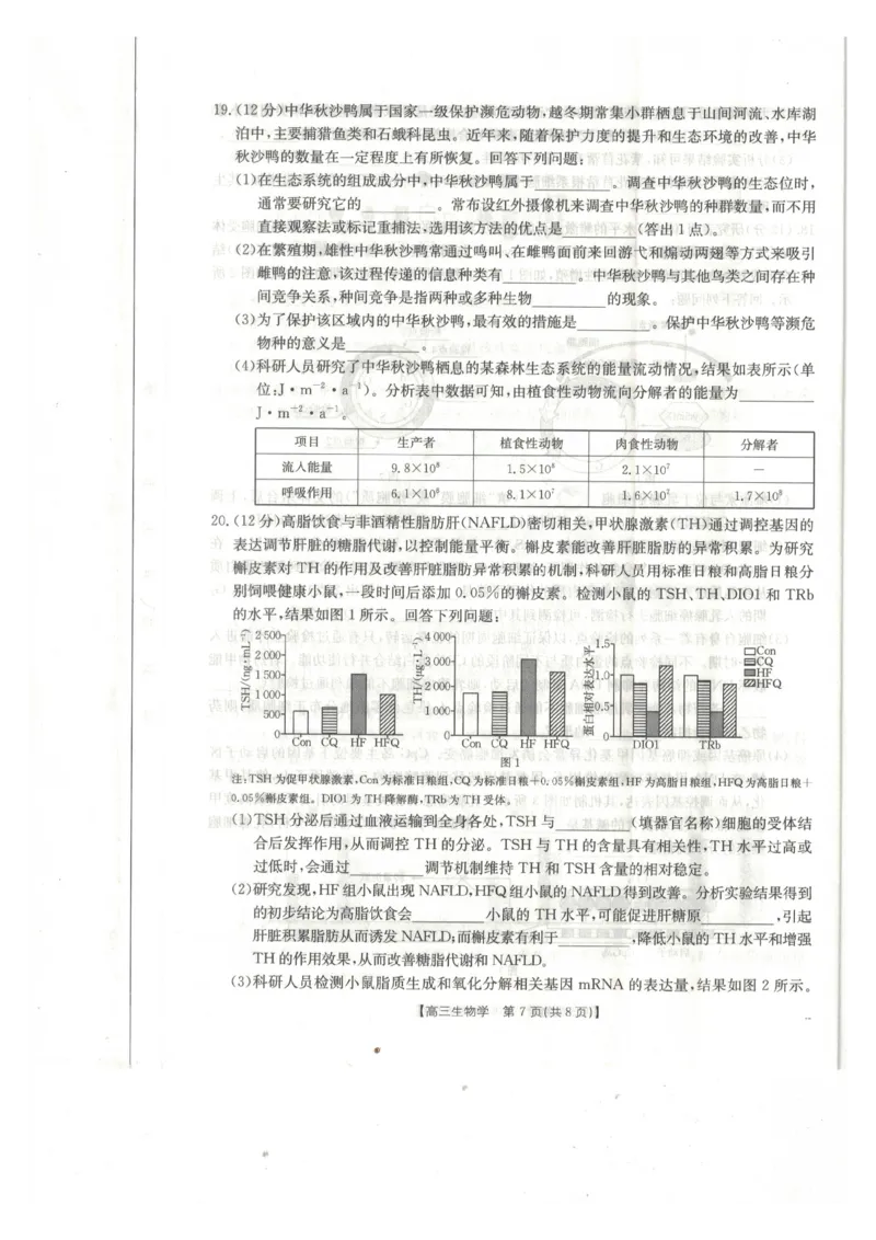 生物_2024-2025高三（6-6月题库）_2025年02月试卷_0217广西省桂林市2025届高三春季开学质量检测（金太阳334C）_广西桂林市2024-2025学年高三下学期开学质量检测生物